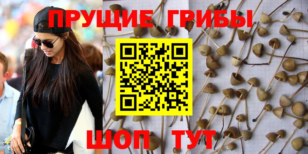 Псилоцибиновые грибы мицелий Ступино