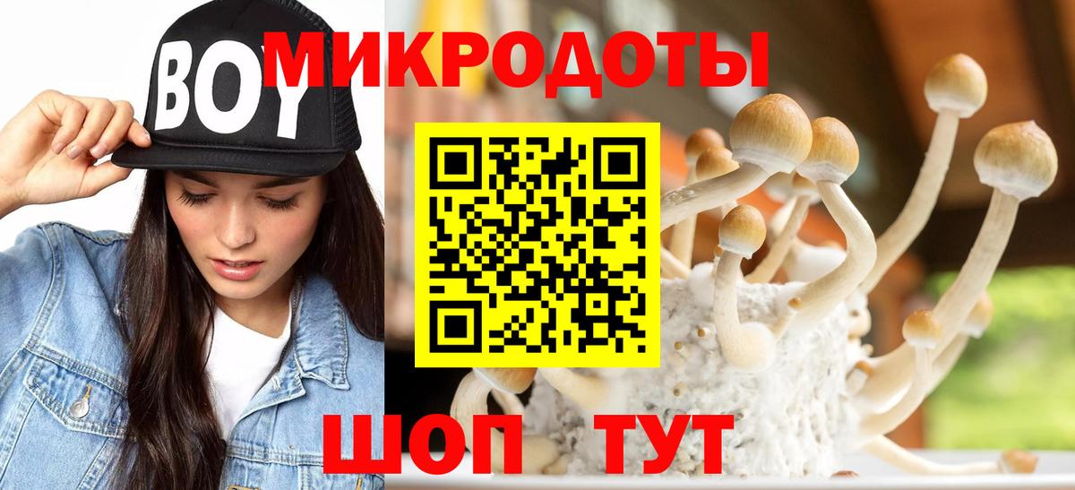 Ступино  Галлюциногенные грибы Magic Shrooms  Вход с VPN 